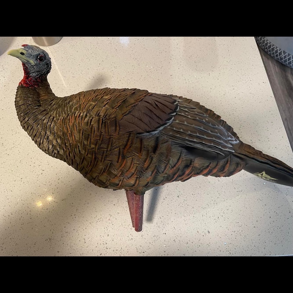 Avian-X Breeder Hen Turkey Decoy